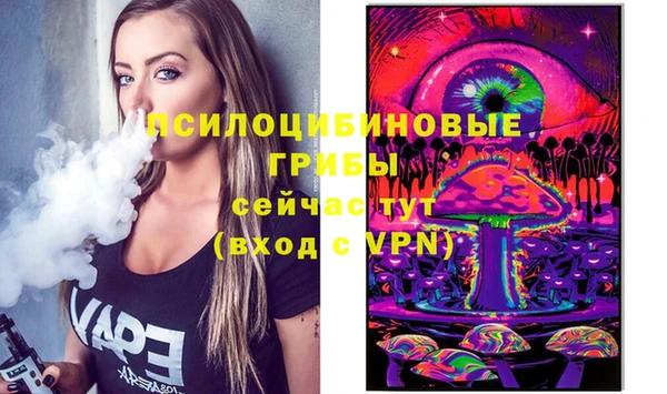 гашиш Бородино