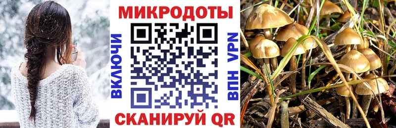 Псилоцибиновые грибы Cubensis  Можайск 